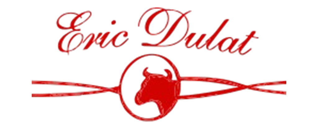 Logo Dulat